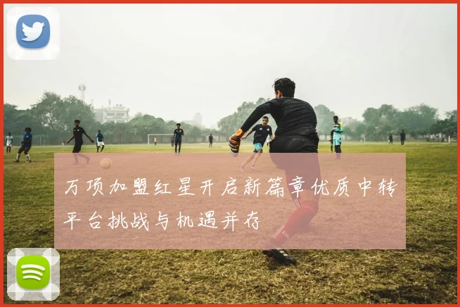 万项加盟红星开启新篇章优质中转平台挑战与机遇并存